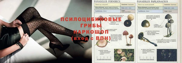 ECSTASY Заволжск