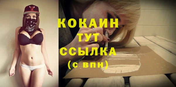 спиды Заводоуковск