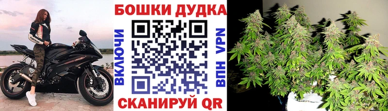 Бошки Шишки гибрид Нестеровская